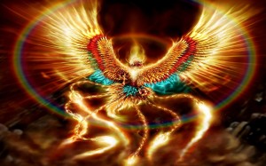 ave fenix
