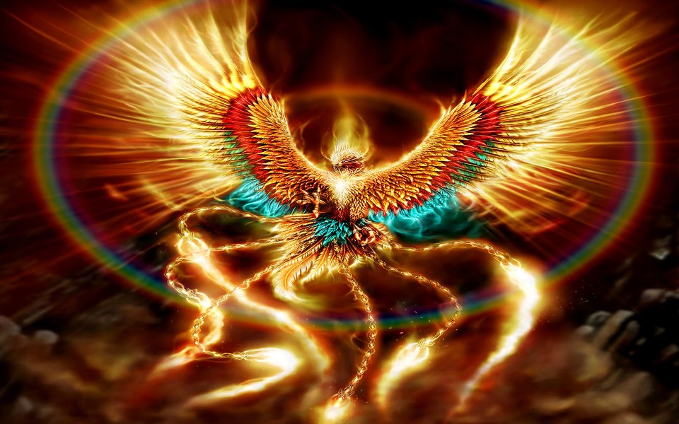 ave fenix