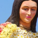 SONY DSC