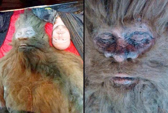 1185452_795535913807792_466654273_n