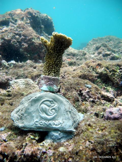 971706_563267003720092_688286_n