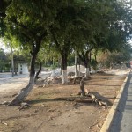 10155854_788524981160629_2056882537145632143_n