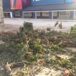 10169186_788526291160498_7738839063371143484_n