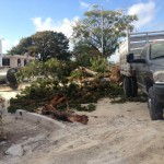 10175007_788525624493898_4817545859057896740_n