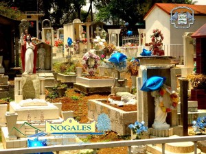 10246286_1430042620585634_2932457145842637477_n