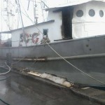 10456283_10152319743498153_785312065_n