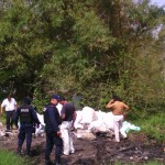 1926941_812365658841620_4133645180124494029_n