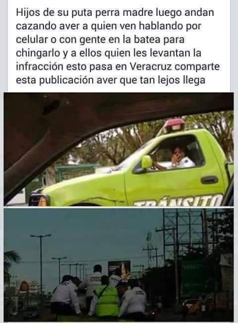 11050248_385629401637744_6224263464316363414_n