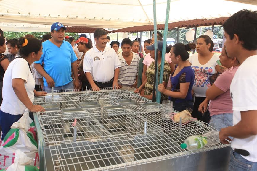 23879528-4896-44f1-bf9c-ed8c8559cc8a