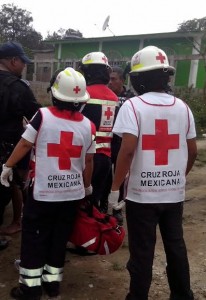 455c82ce-08d0-4be3-98ca-840c63ff8abc