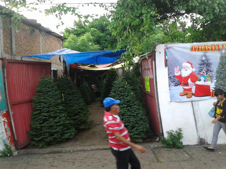 c2478f3e-661b-4e79-bc58-8619b6815875