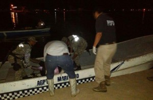 83ea36c1-9f8b-409a-9144-cafd0762496f