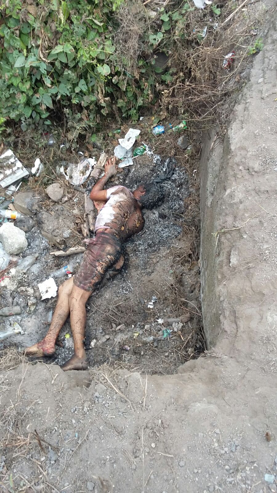 97e32b60-7b15-4ddf-a199-bb523fdaaf53