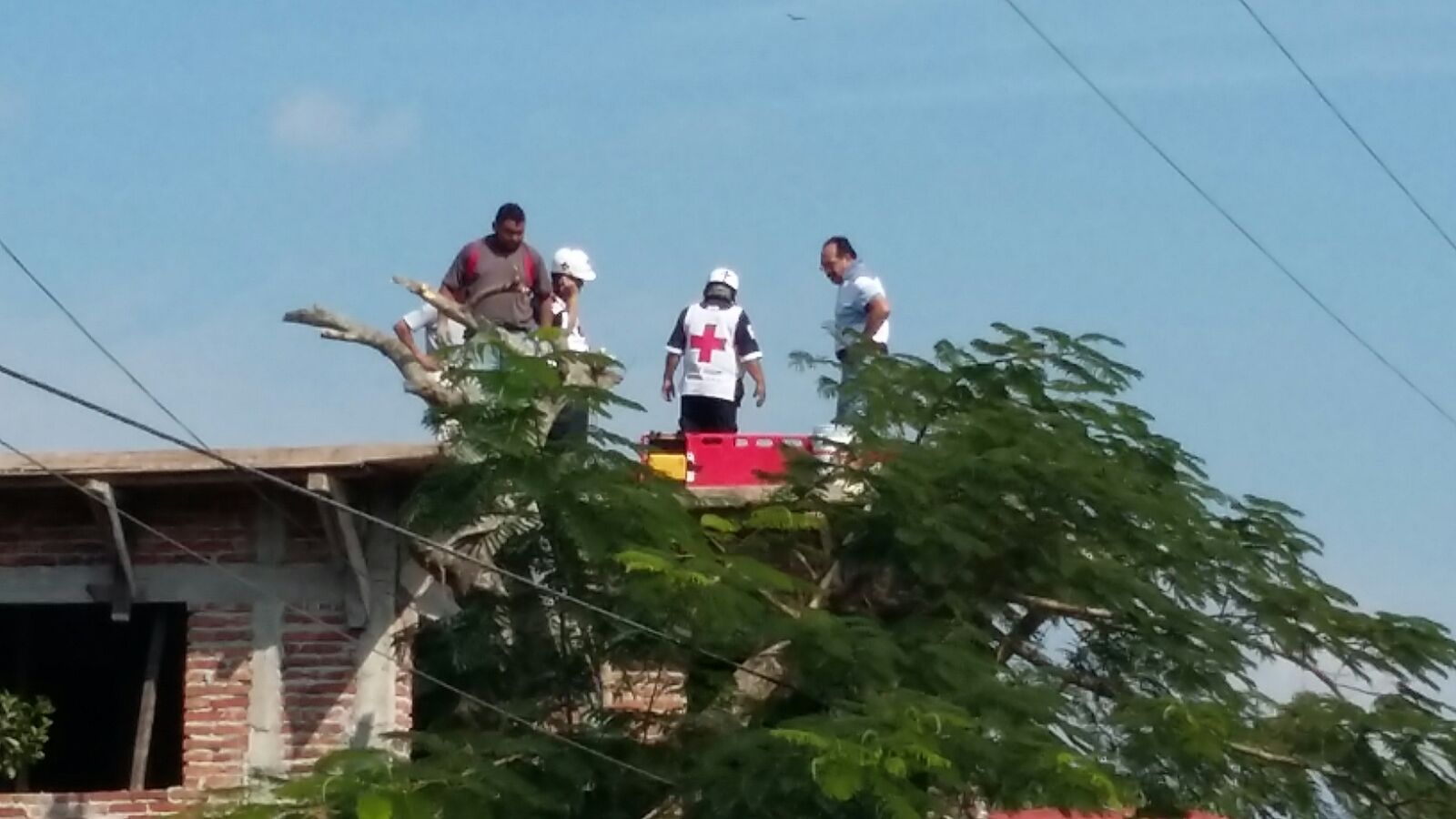 b3905168-4ea2-45e8-8b68-a3e3e4a5a217