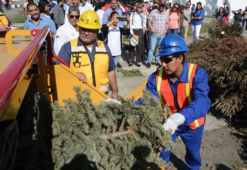 afecc00b-848d-4cf9-bcac-f45393974061