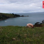 frozen-chook-hills-min