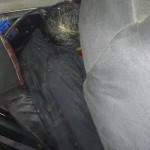 9972a613-5065-476f-b2e3-809dd5490863