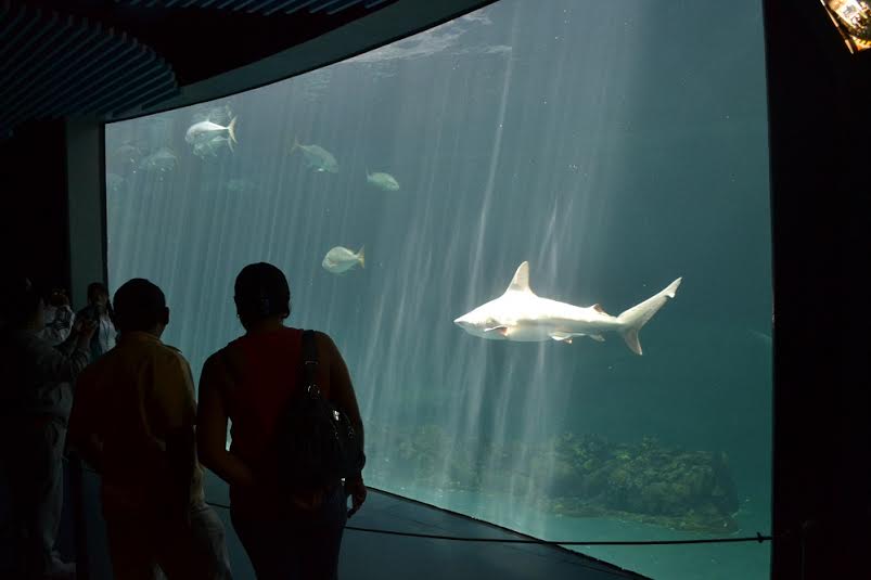 b3501741-70b6-4685-8846-8235b9993366