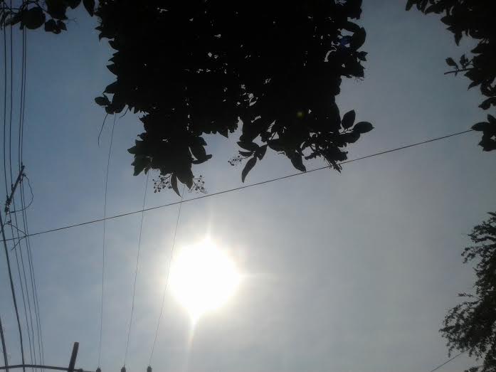 0b0f7a8a-3099-4cc8-bdba-f824c5b2f26b