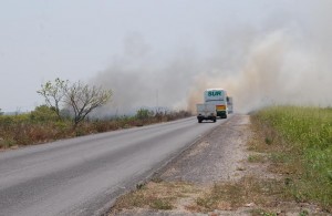 b5d54d85-d0d1-4651-a7ff-449fe34b954f