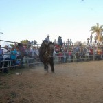 d6873780-00e3-44b8-b7e7-ec0c5c5ae93c