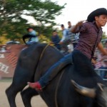 f0c67342-e1e4-4214-b281-984a15de7da8