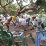 14021513_1727555167507217_1219060844614592278_n