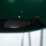 902e4b82-0665-4ba7-83fb-55083a28d372