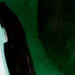 a9f9babe-e754-4582-886a-a8846fc593c4