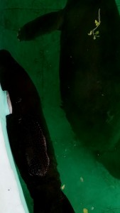 a9f9babe-e754-4582-886a-a8846fc593c4