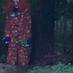 14570232_1270817416296490_7395639116200764478_n-copia