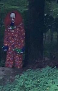 14570232_1270817416296490_7395639116200764478_n-copia