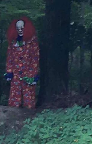 14570232_1270817416296490_7395639116200764478_n-copia