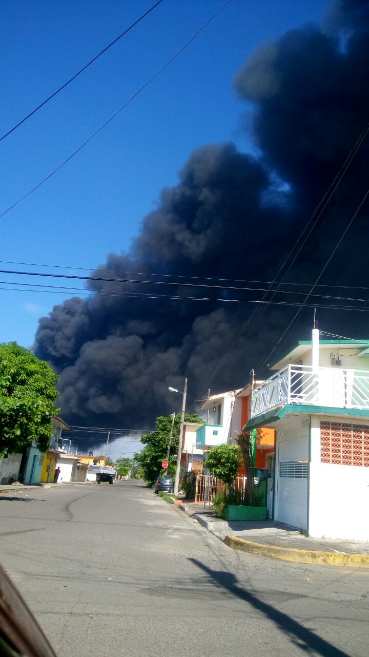 c63c3682-6924-4813-aaed-3a5fafb78b14