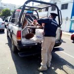 2c69acaa-70fb-4e72-83a0-b1f8b71ea7bf