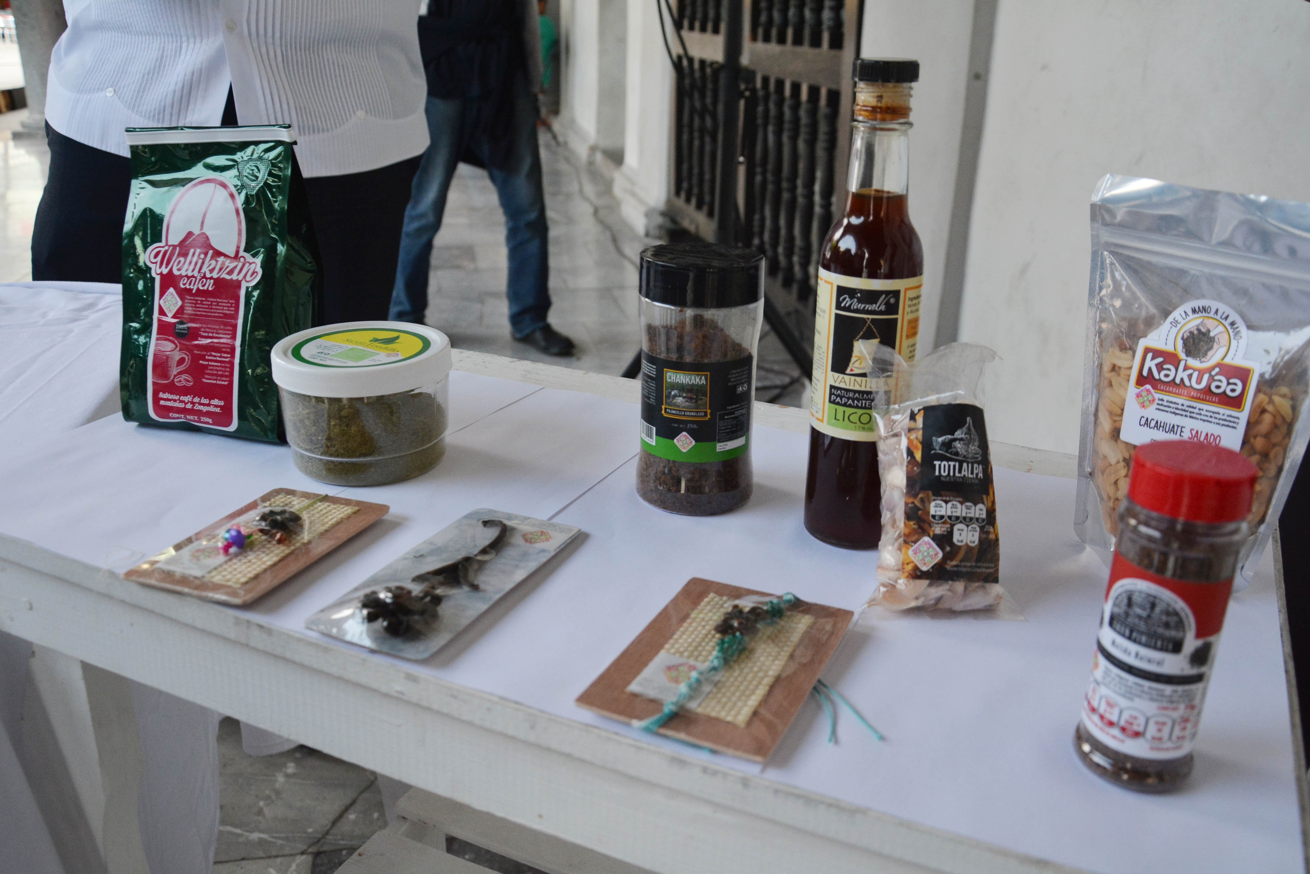 13SEP17 EXPO VERACRUZ-TH (10)