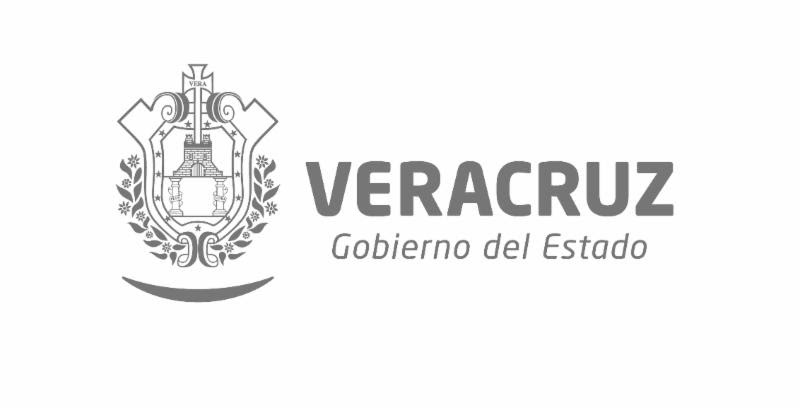 gobierno del estado veracruz