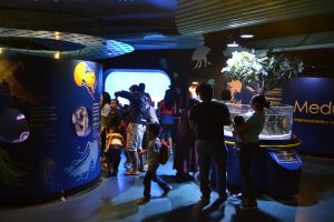 ACUARIO ROMPE RECORD (2)