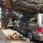 WhatsApp Image 2018-04-15 at 11.33.00 AM