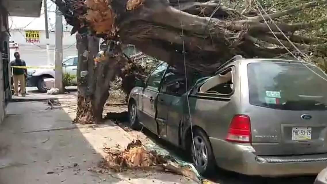 WhatsApp Image 2018-04-15 at 11.33.00 AM