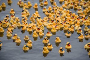 WhatsApp Image 2018-04-28 at 7.40.20 PM