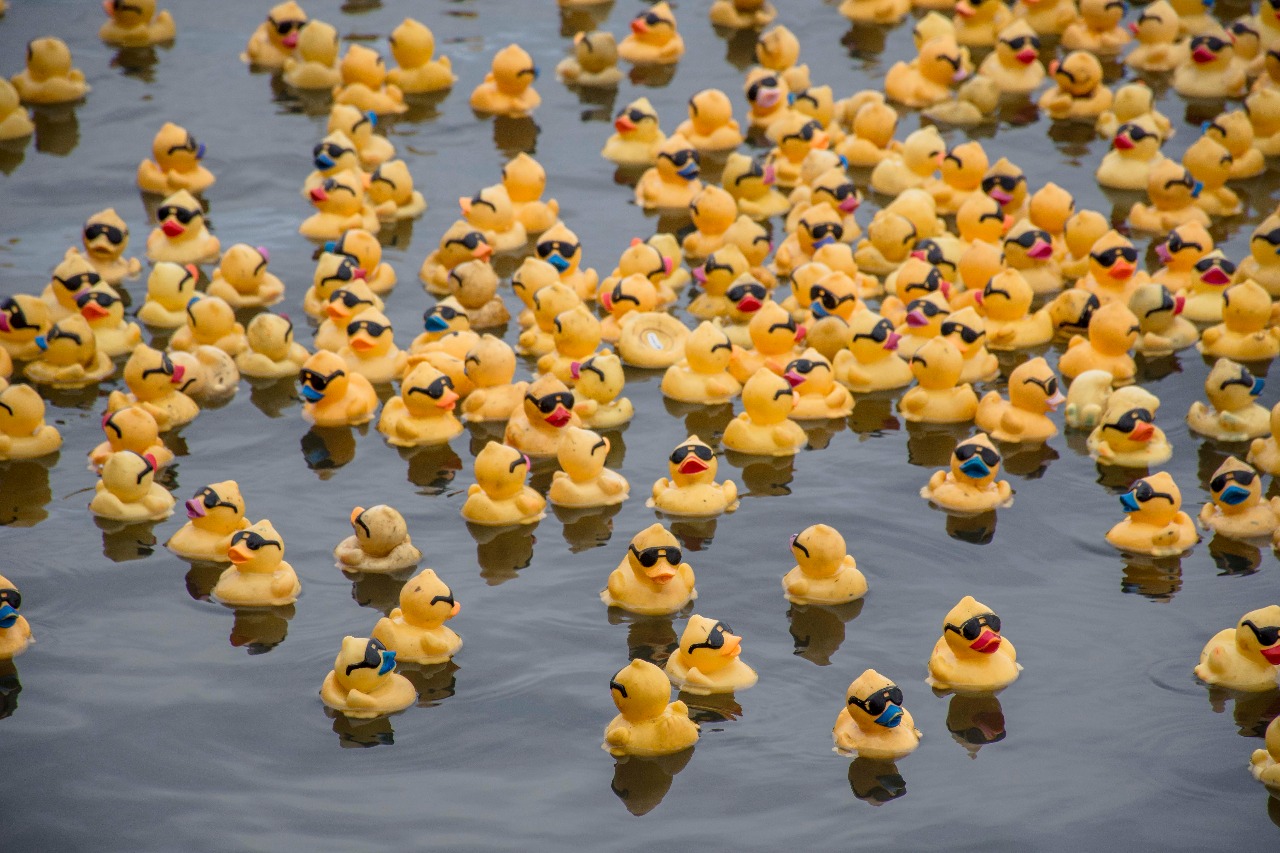 WhatsApp Image 2018-04-28 at 7.40.20 PM