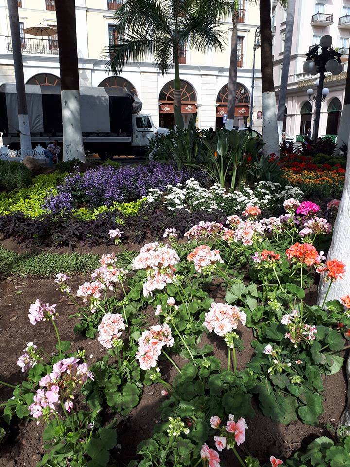 32104803_2399016773446060_1123711771329167360_n