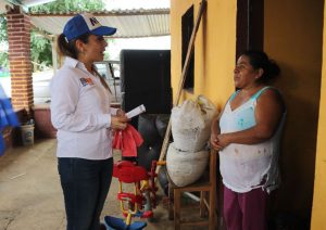 Más recursos a los rubros prioritarios, propone Nora Lagunes (2)