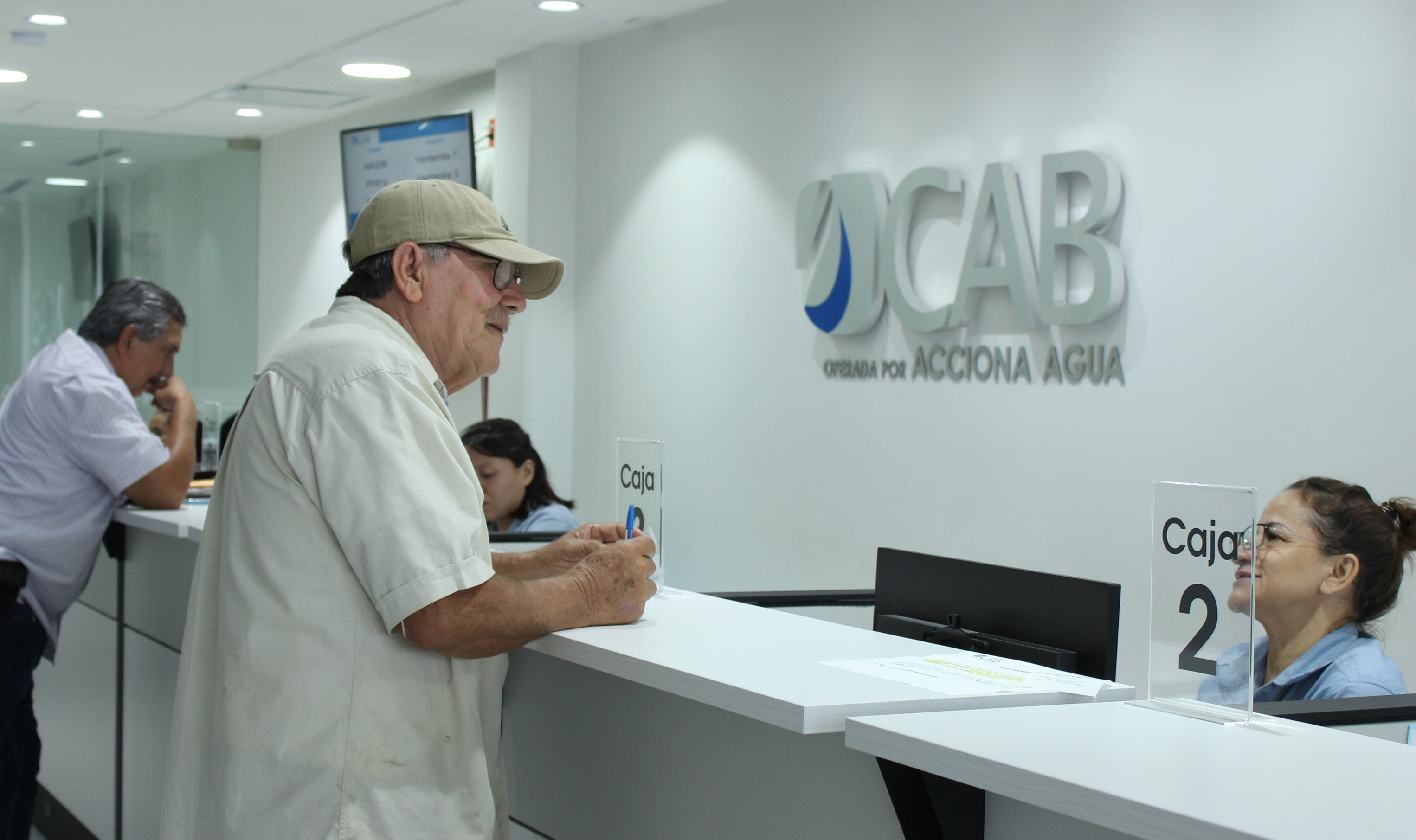 Pago Anual (2)