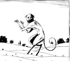 69208557_3216408348373561_6060885173250031616_n