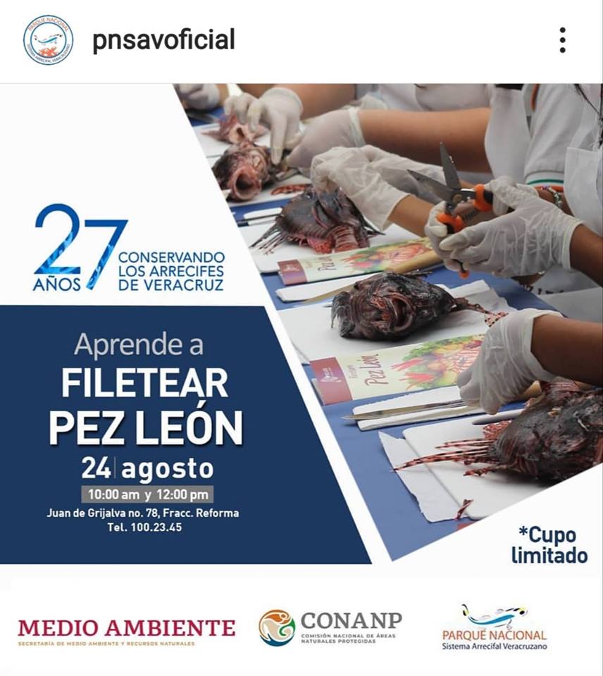 69276304_3201752016505861_4457434179251994624_n