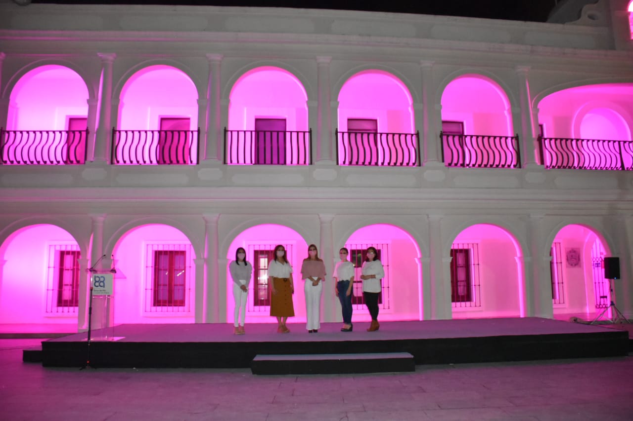 Encendido Rosa Palacio Municipal 03