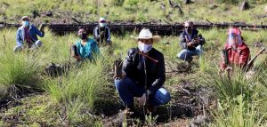 REFORESTACIÓN-SAN-JUAN-DEL-MONTE-1140x544