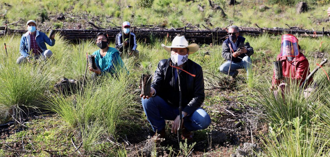 REFORESTACIÓN-SAN-JUAN-DEL-MONTE-1140x544